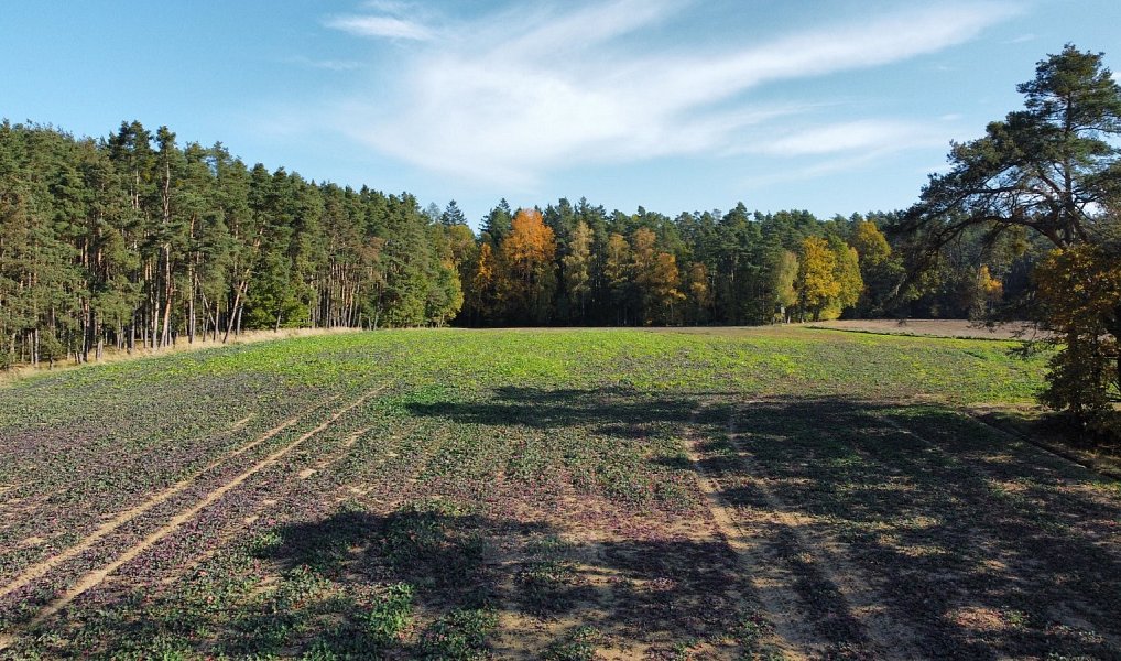 Prodej pole 49 992 m², Řípec – náhled fotky 4