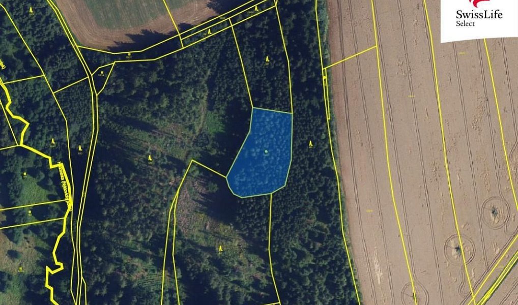 Prodej pole 84 715 m², Trpín – náhled fotky 3