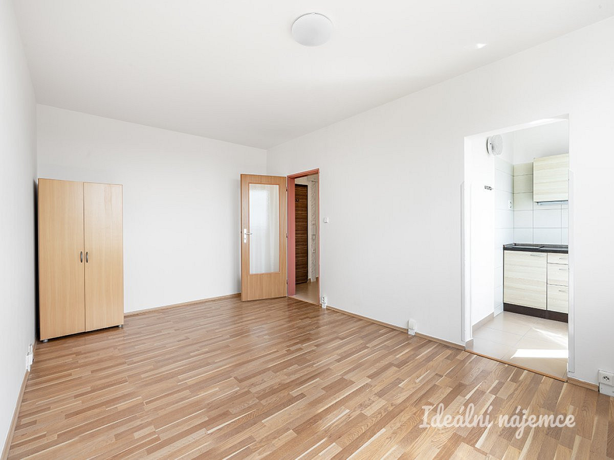 Pronájem bytu 1+kk 30 m² — photo 2
