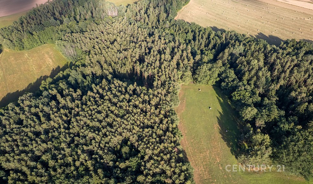 Prodej nájemního domu, činžáku 600 m², Kamenný Újezd – náhled fotky 42