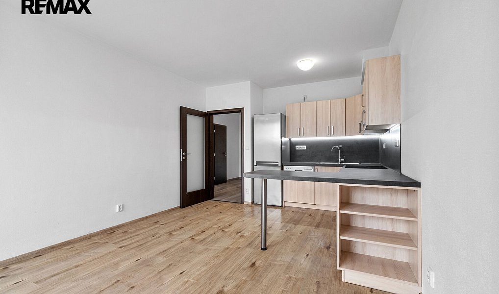 Pronájem bytu 2+kk 55 m², Plzeň – náhled fotky 10