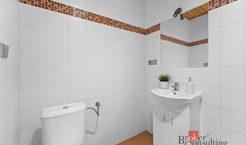 Prodej domu 650 m² s pozemkem 906 m², Strážné – náhled fotky 13