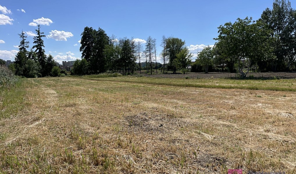Prodej komerčního pozemku 4 463 m², Břeclav – náhled fotky 12