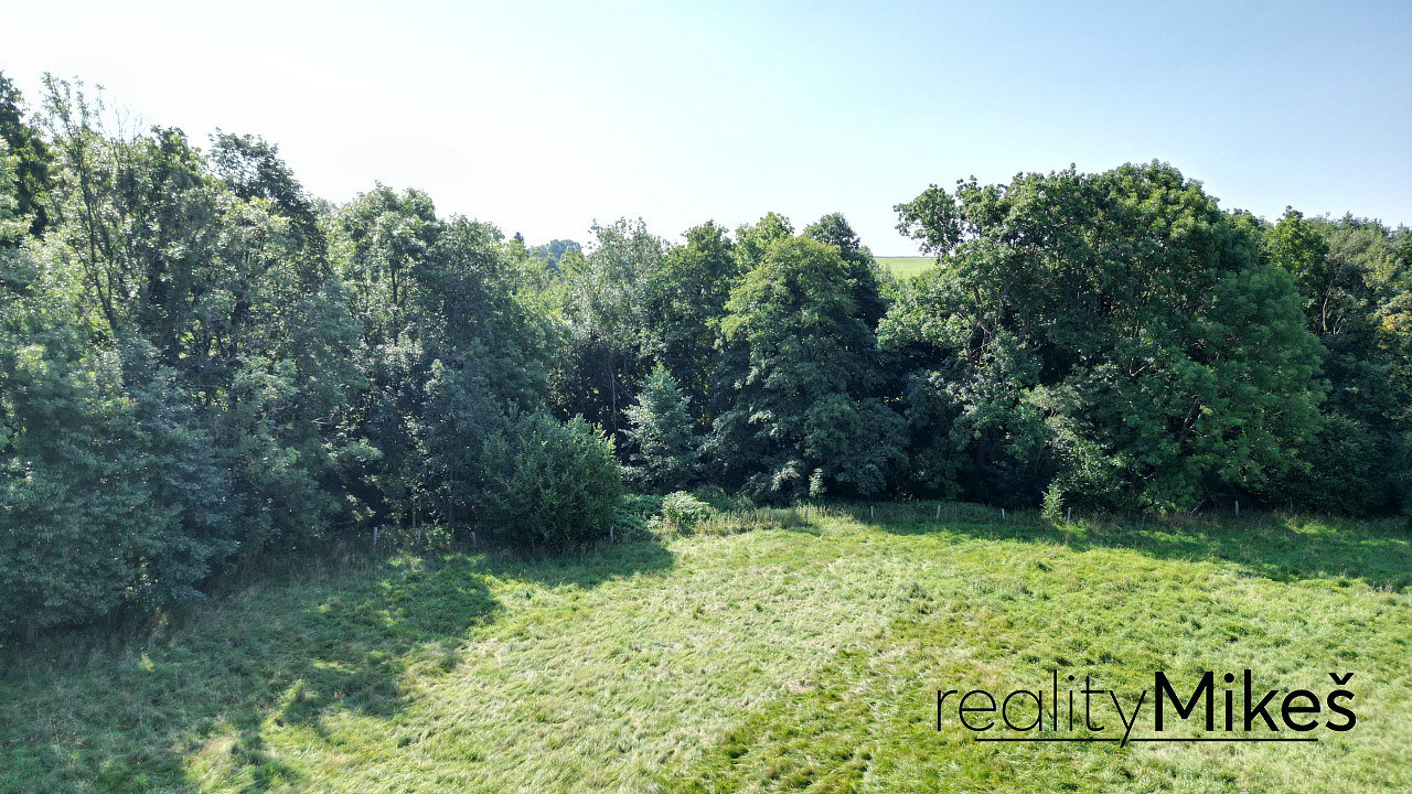 Prodej louky 1 044 m²