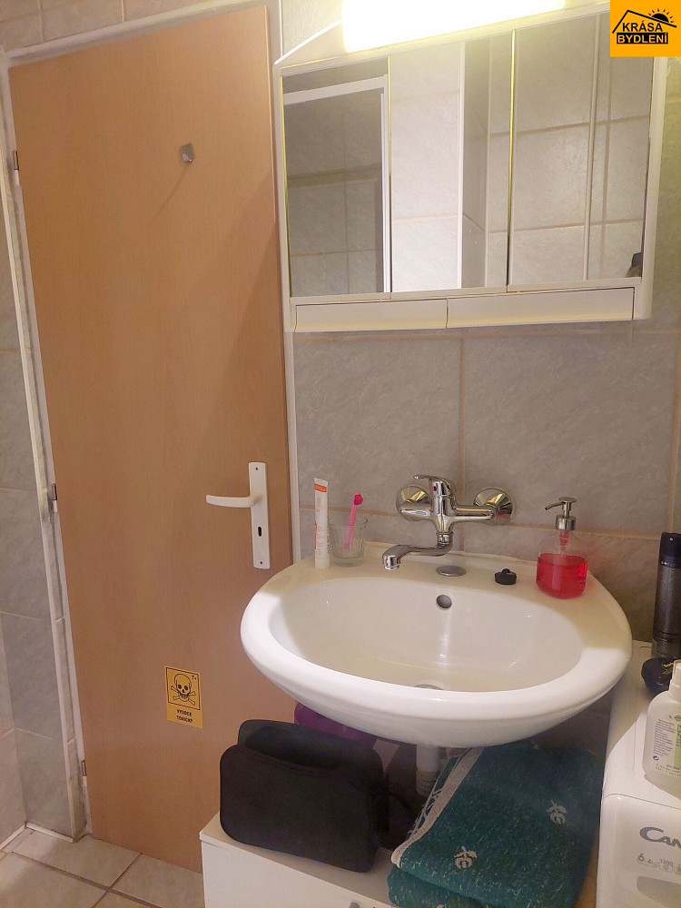 Pronájem bytu 1+kk 29 m² — photo 4