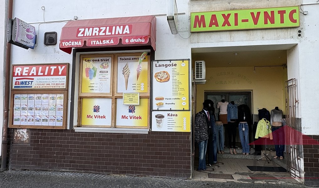 Prodej obchodních prostor 385 m², Sušice – náhled fotky 8