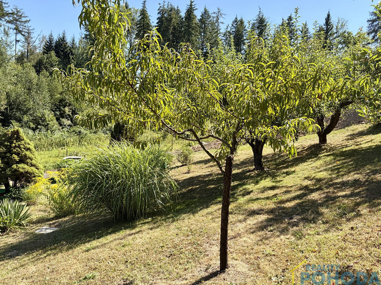 Prodej chaty/chalupy 37 m² s pozemkem 23 m² – fotografie 4