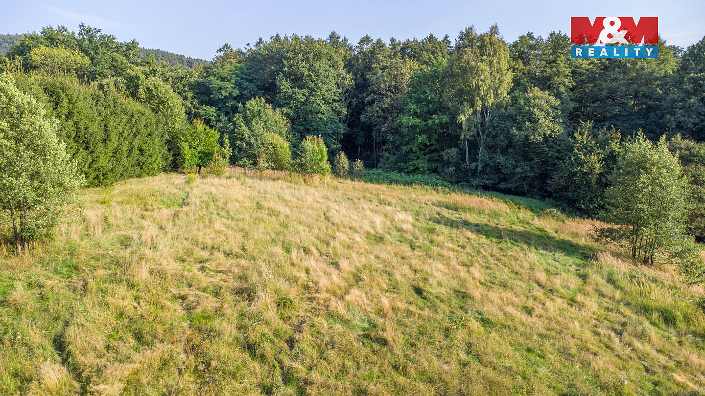 Prodej louky 5 500 m² — photo 4