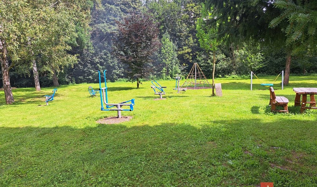Prodej komerčního objektu (jiného typu) 261 m², Rudná pod Pradědem – náhled fotky 38