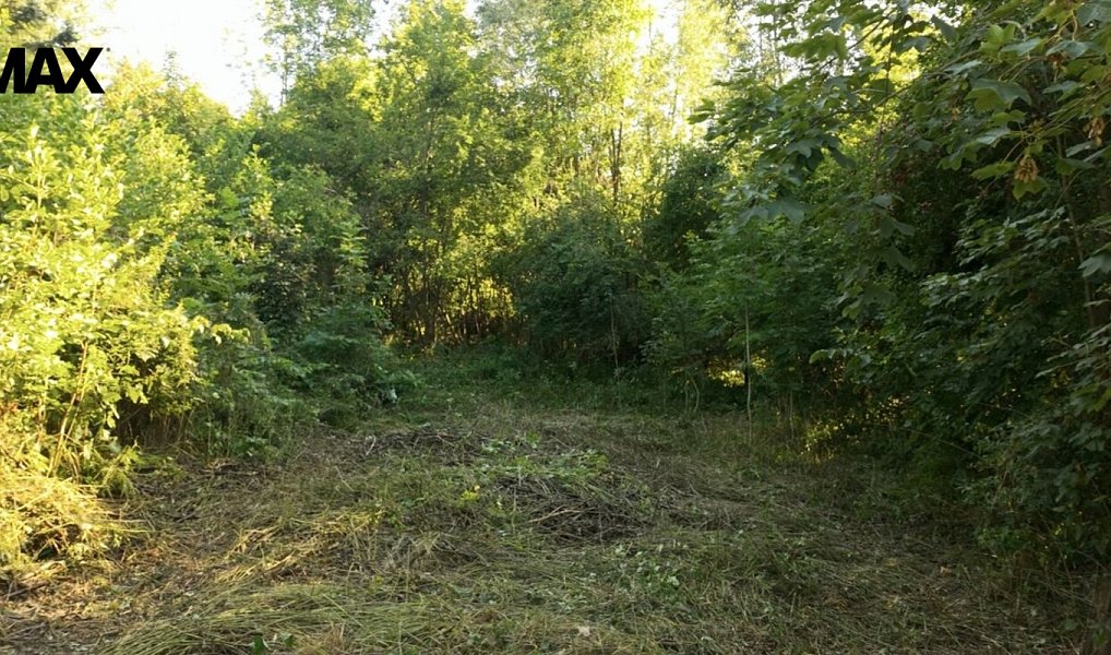 Prodej stavebního pozemku 340 m², Veselá – náhled fotky 2