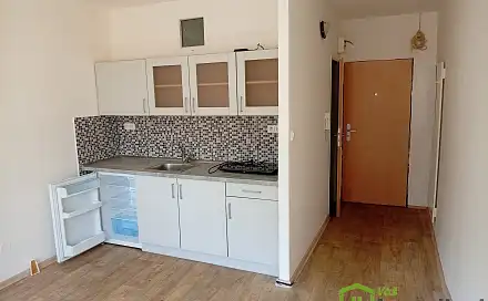 Pronájem bytu 1+kk 18 m², Železná, Ústí nad Labem - Neštěmice
