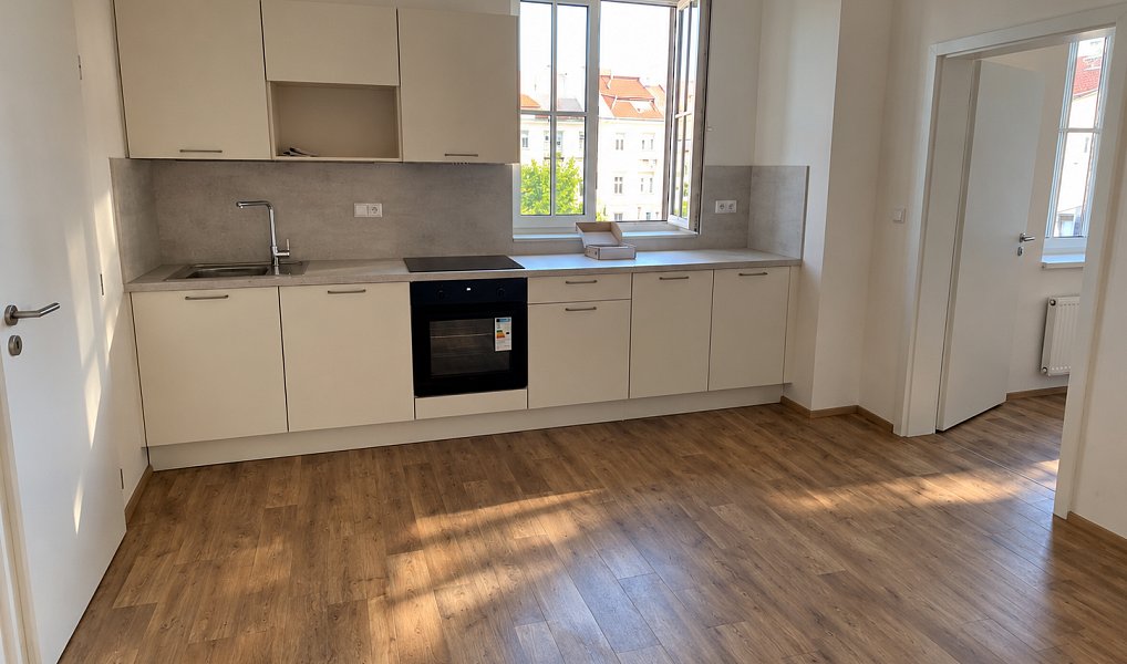 Pronájem bytu 2+kk, 50 m², Plzeň-město, Plzeň