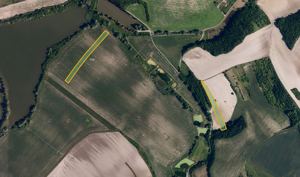 Prodej pozemku, 13498 m², Břeclav, Borkovany