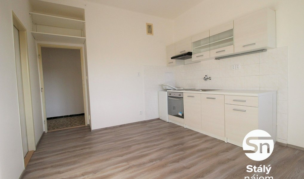 Pronájem bytu 1+1 43 m², Praha – náhled fotky 3