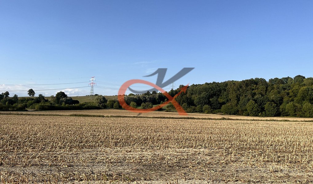 Prodej pole 4 766 m², Lešná – náhled fotky 2