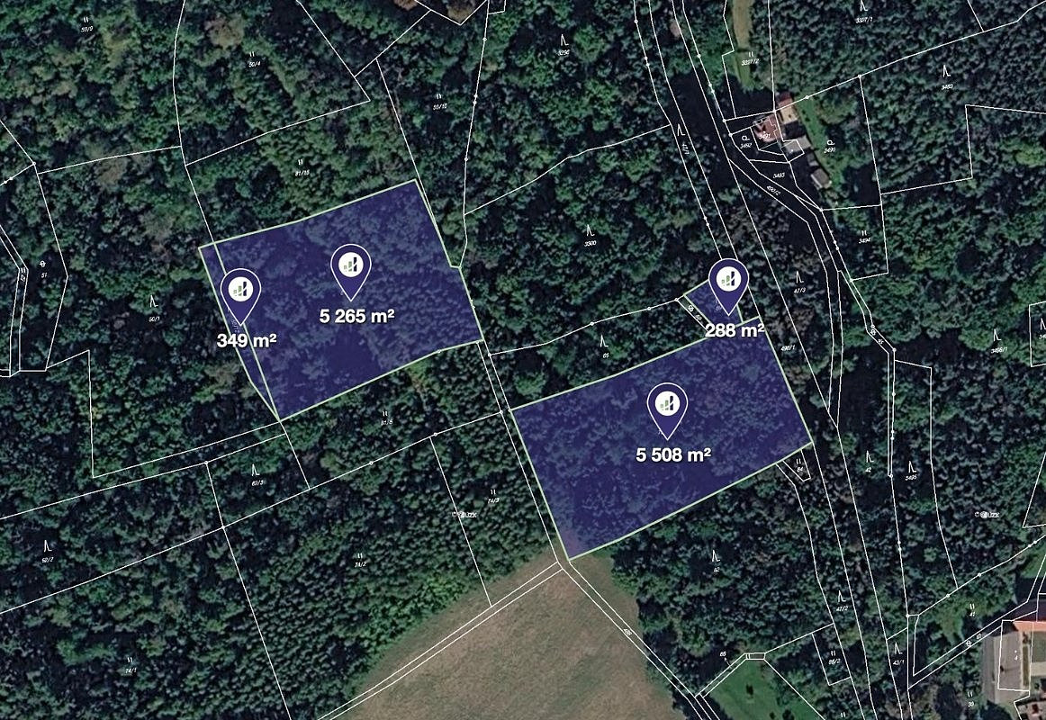 Prodej lesa 11 410 m²