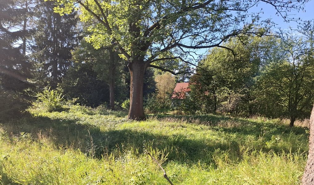 Prodej stavebního pozemku 1 656 m², Jiříkov – náhled fotky 2