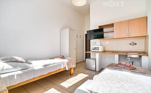 Pronájem bytu 1+kk 13 m², Těšínská, Orlová - Poruba, okres Karviná