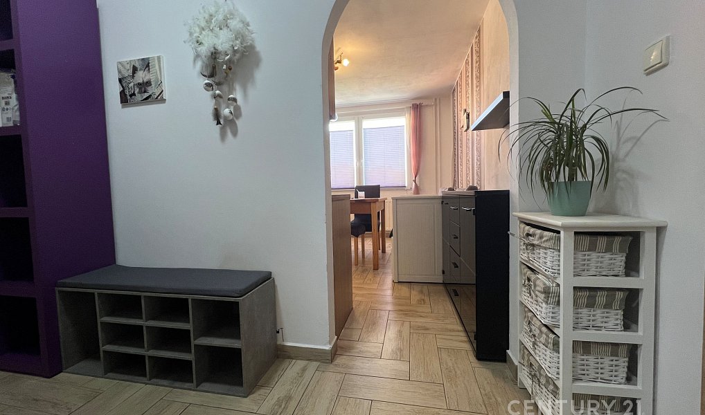 Pronájem bytu 2+kk 41 m², Plzeň – náhled fotky 4