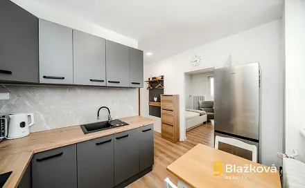 Pronájem bytu 1+1 30 m²
