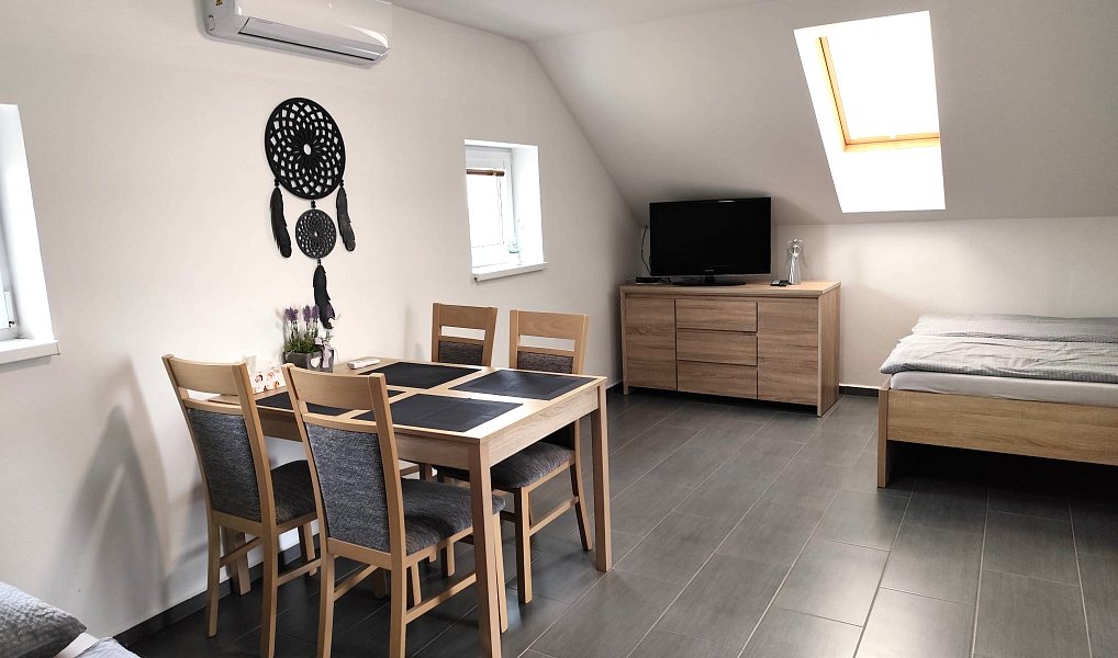 Prodej ubytovacího objektu 206 m², Dyjákovice – náhled fotky 16