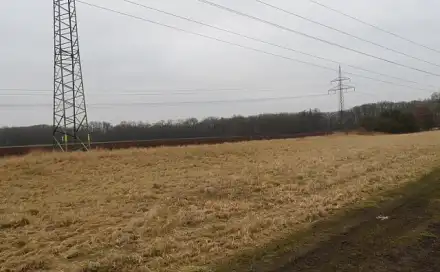 Dražba pole 1 831 m², Kostelec nad Labem