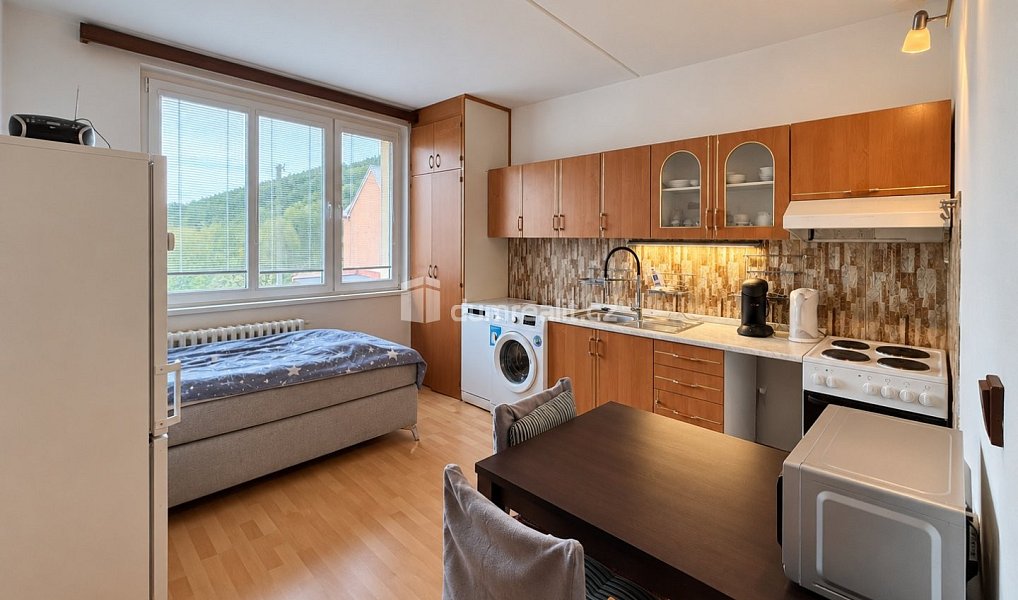 Prodej bytu 1+1 38 m², Oloví – náhled fotky 3