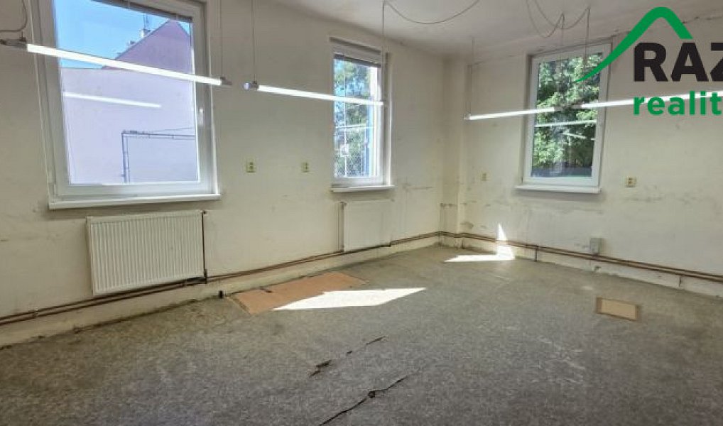 Pronájem výrobních prostor 249 m², Planá – náhled fotky 3