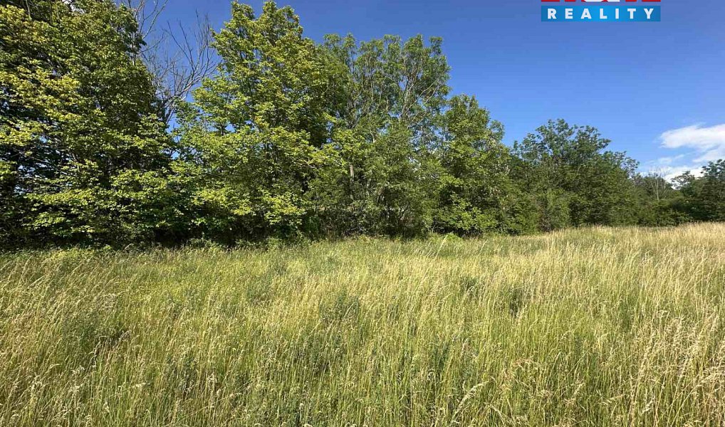 Prodej zahrady 625 m², Bechlín – náhled fotky 5
