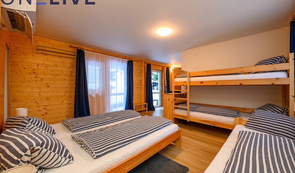 Prodej komerčního objektu (jiného typu) 500 m², Železná Ruda – náhled fotky 14