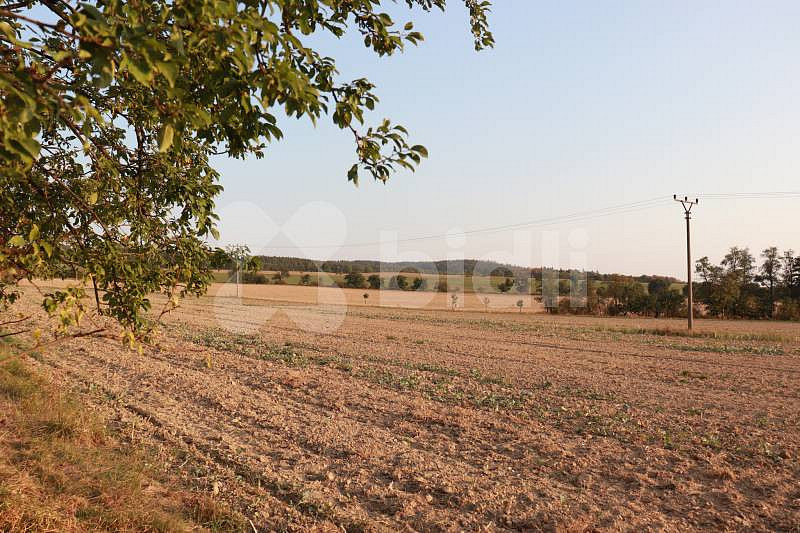 Prodej pole 3 030 m² – fotografie 2
