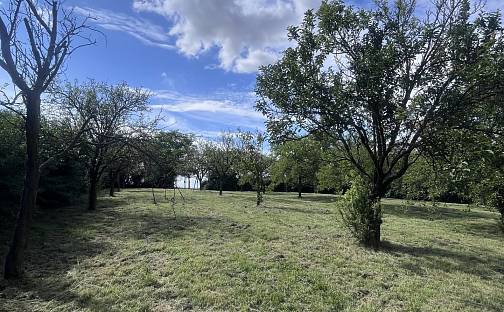 Prodej domu 230 m² s pozemkem 3 866 m², Kožušice, okres Vyškov