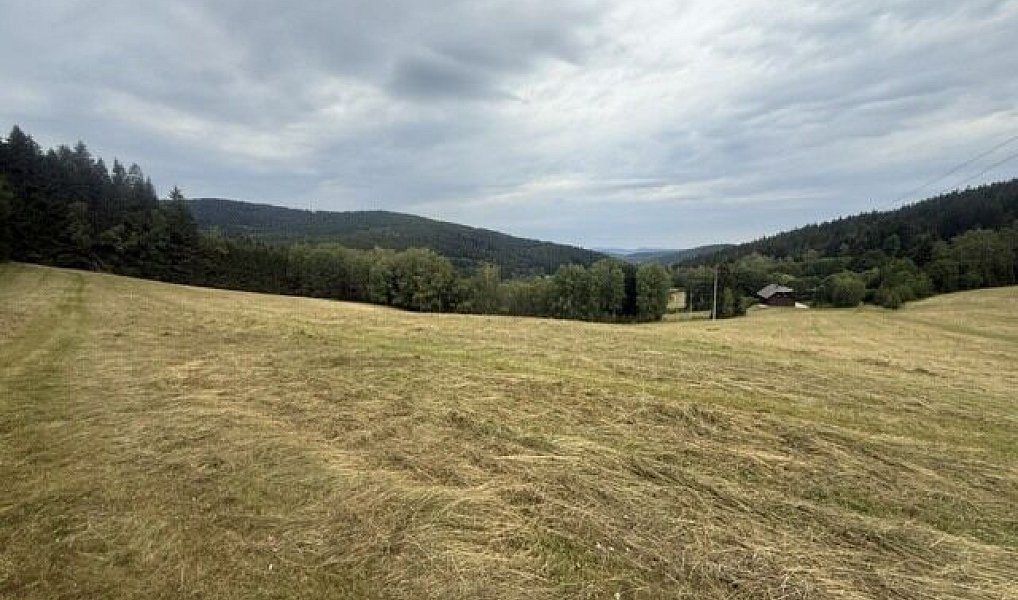 Prodej louky 84 928 m², Hamry – náhled fotky 13
