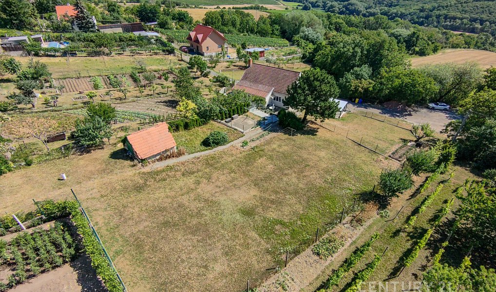 Prodej stavebního pozemku 576 m², Klentnice – náhled fotky 6