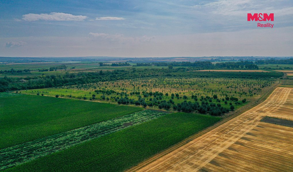 Prodej pole 123 477 m², Rakvice – náhled fotky 8