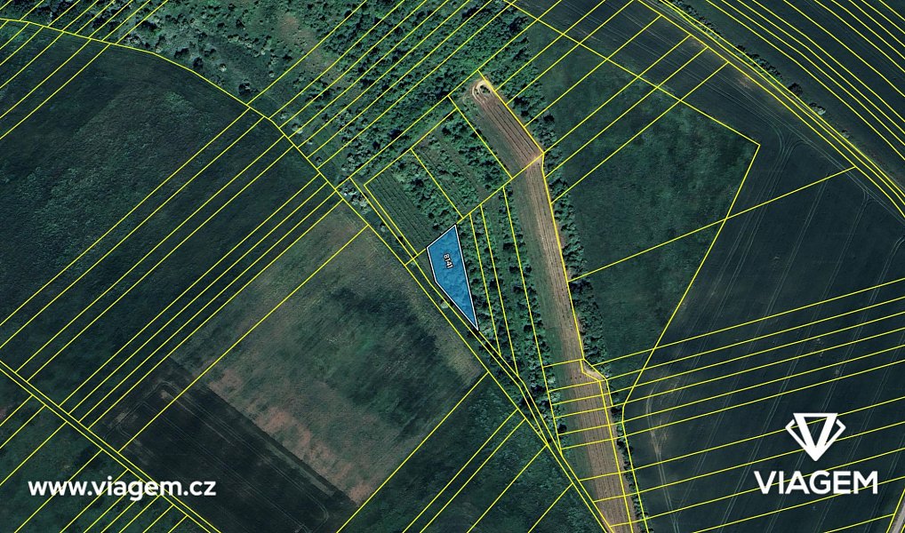 Prodej pole 1 162 m², Velké Němčice – náhled fotky 4