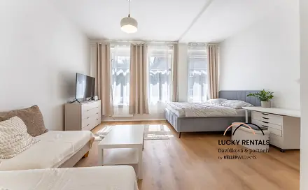 Pronájem bytu 1+1 41 m², U Kublova, Praha 4 - Podolí