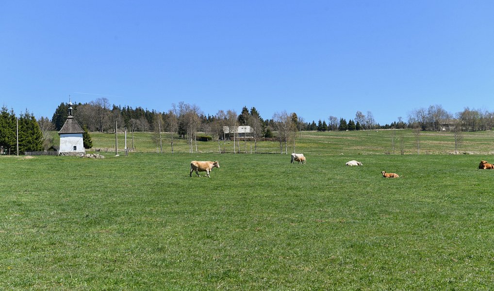 Prodej domu 310 m² s pozemkem 1 687 m², Nové Hutě – náhled fotky 4