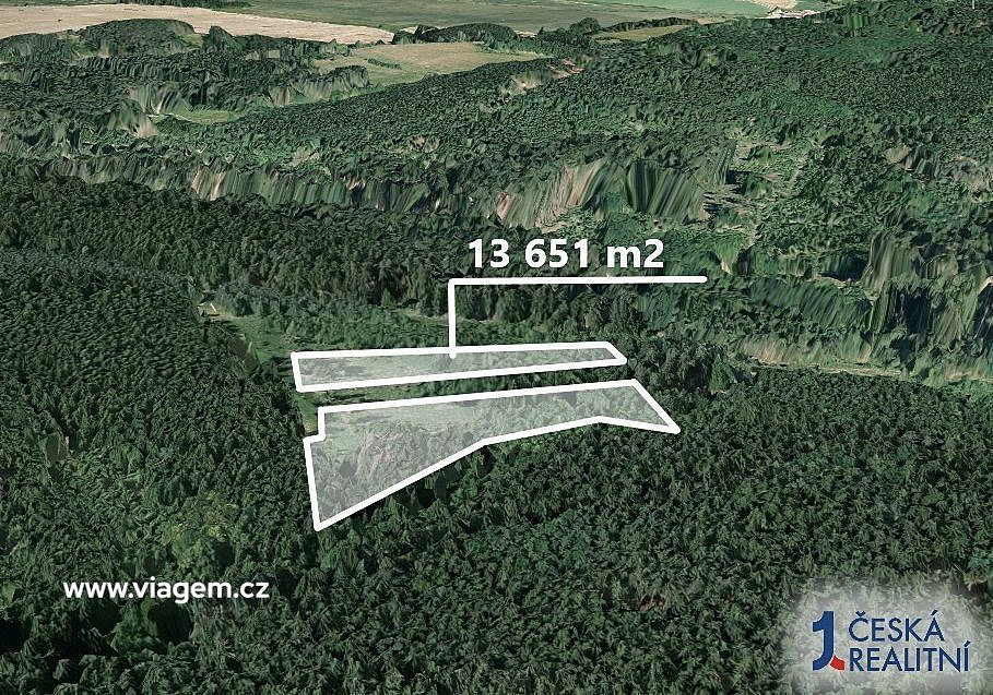 Prodej lesa 13 651 m² – fotografie 2