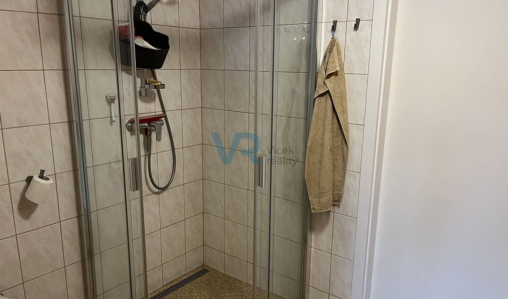 Prodej domu 150 m² s pozemkem 779 m², Planá – náhled fotky 33
