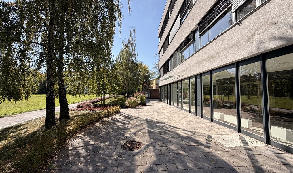 Pronájem obchodních prostor 470 m², Ostrava – náhled fotky 2