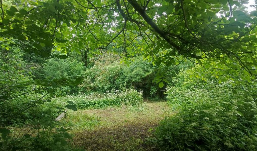 Prodej domu 150 m² s pozemkem 3 022 m², Hroubovice – náhled fotky 25