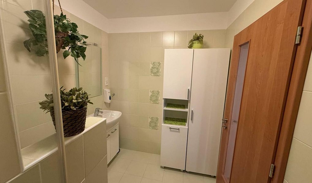 Pronájem bytu 1+1 36 m², Mostek – náhled fotky 5