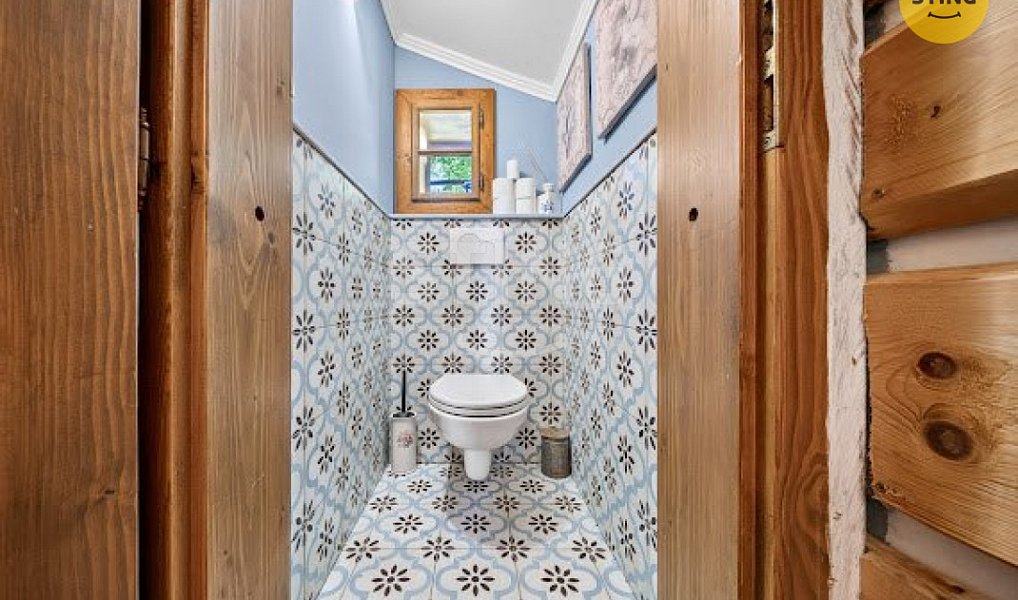Prodej domu 2 989 m² s pozemkem 17 580 m², Hutisko-Solanec – náhled fotky 21