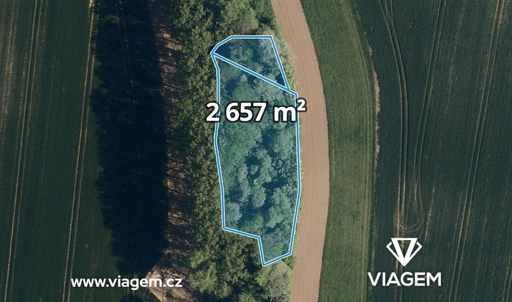 Prodej pole 2 277 m², Starý Jičín – náhled fotky 3