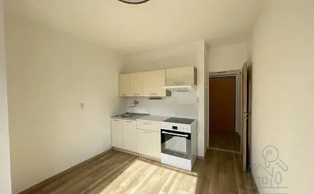 Pronájem bytu 1+1 46 m², Čechovská, Příbram - Příbram VIII