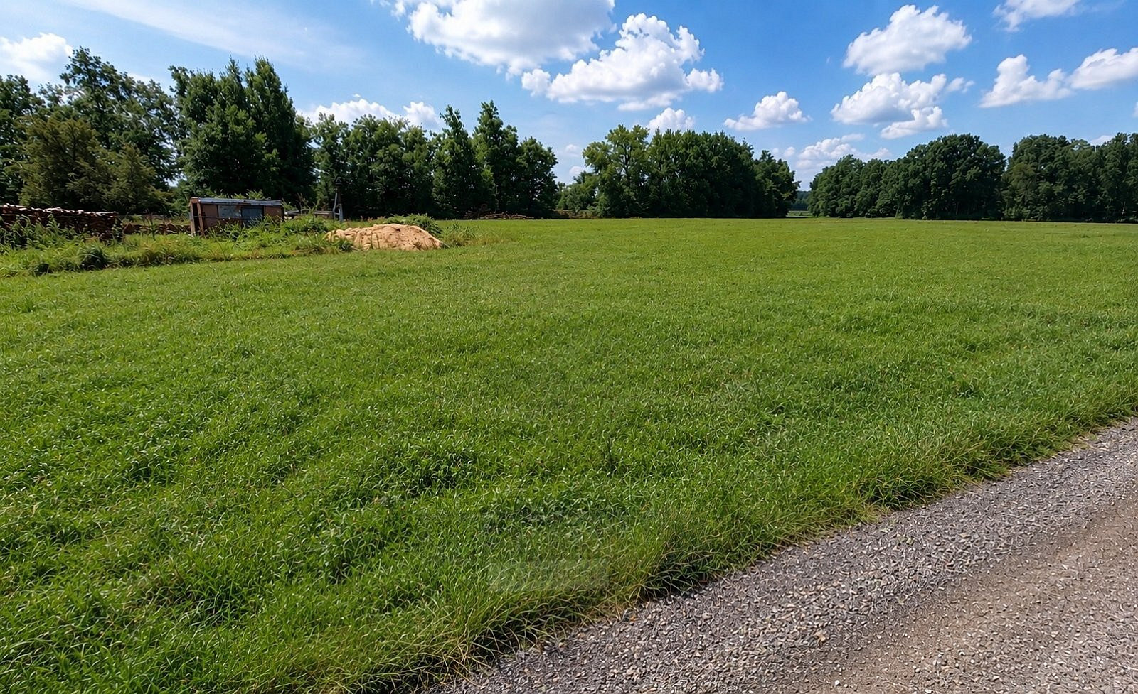 Prodej louky 723 m² – fotografie 3