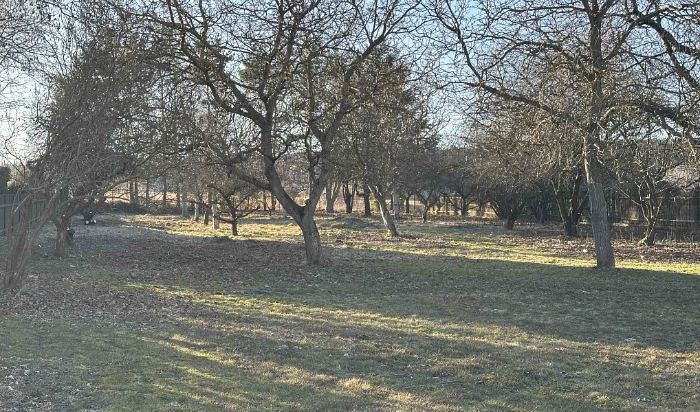 Prodej stavebního pozemku 1 472 m², Pičín – náhled fotky 4