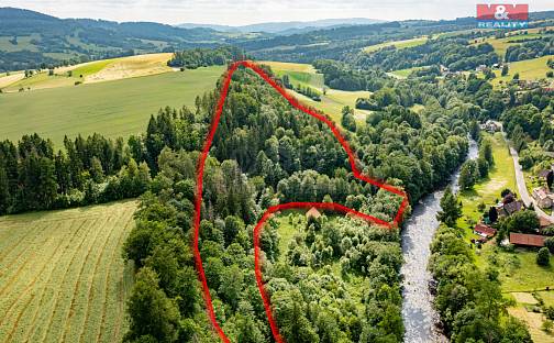 Prodej lesa 36 610 m², Peřimov, okres Semily