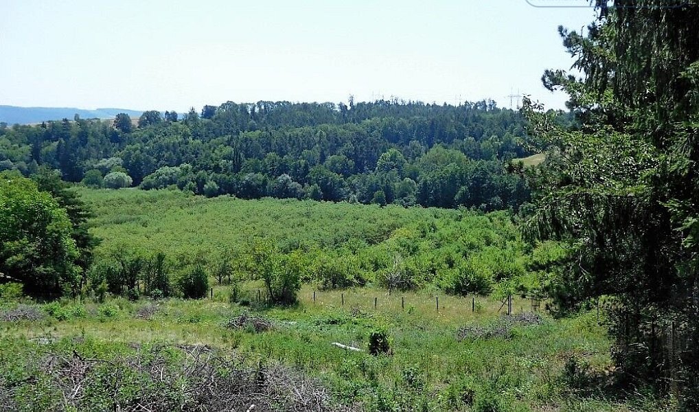 Prodej stavebního pozemku 1 152 m², Veverské Knínice – náhled fotky 3